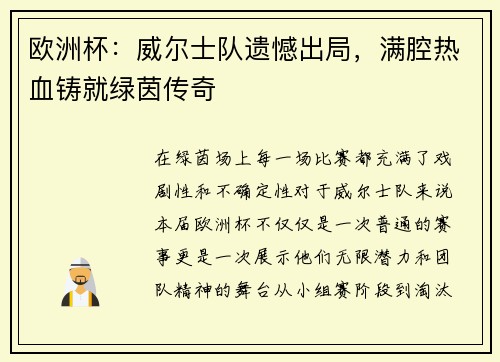 欧洲杯：威尔士队遗憾出局，满腔热血铸就绿茵传奇